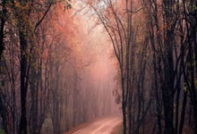 虎扑体育官网：中国新闻周刊：国足 被“抬进”世界杯？.