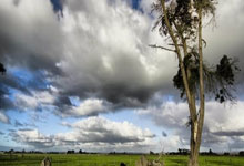 虎扑体育官网：王雅繁不敌9号种子卡萨金娜 无缘澳网女单32强.