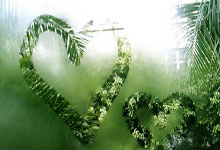 虎扑体育官网：[NBA]活塞力克开拓者 结束两连败.