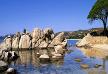 虎扑体育官网：[NBA]活塞力克开拓者 结束两连败.